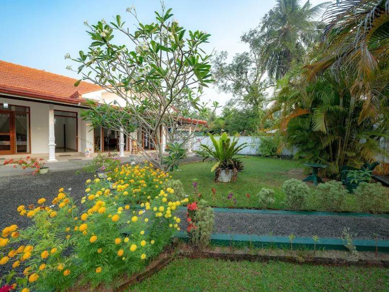 Araliya Villa Moragalla エクステリア 写真